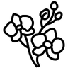 Зеленая миля